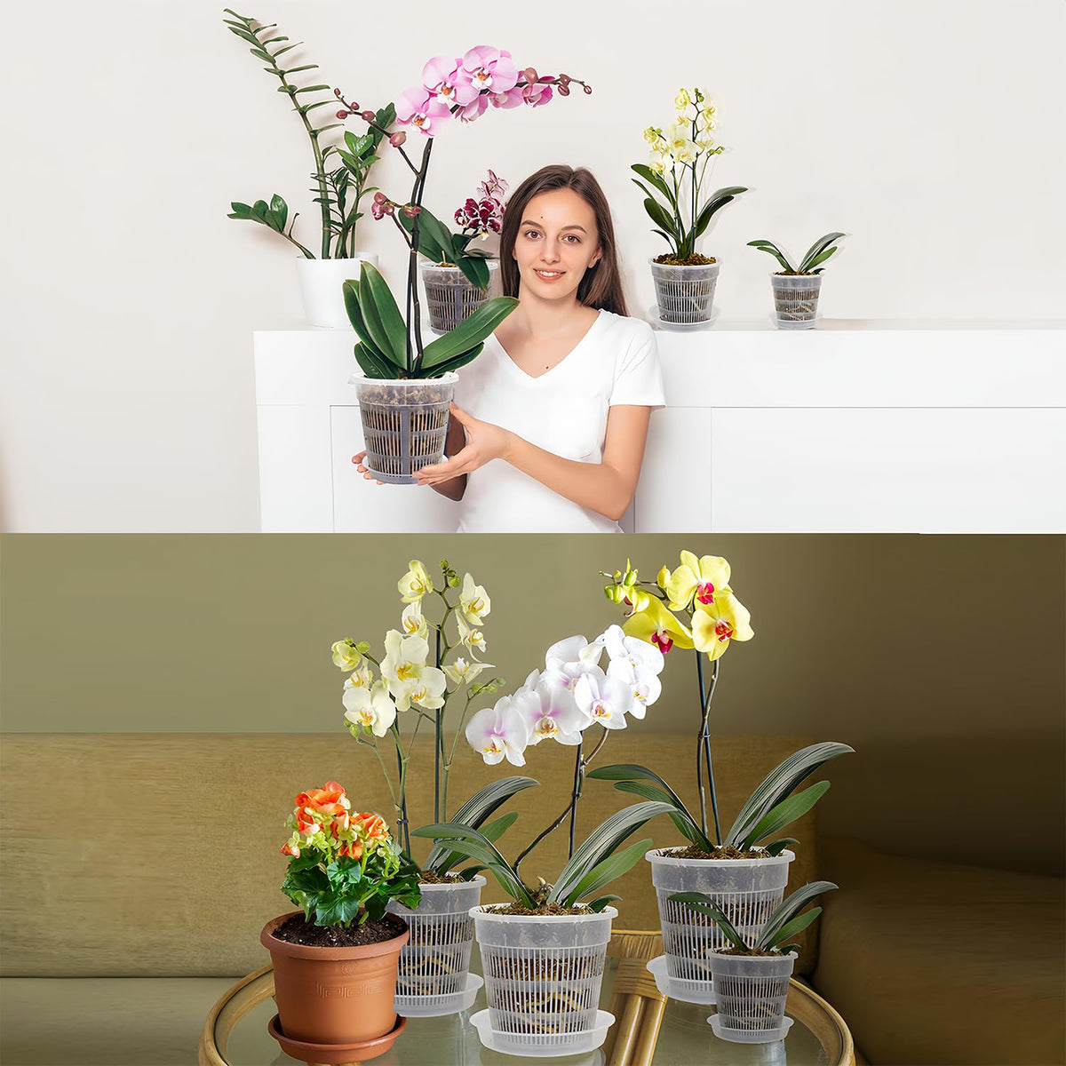 Tialero repotting kit image showing complete orchid pot set