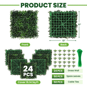 Ticanros boxwood hedge detail closeup highlights realistic texture and color.