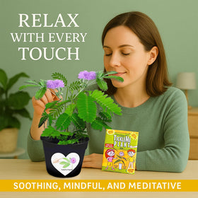 TickleMe Plant makes a charming gift for kids and adults.