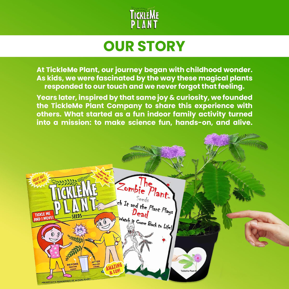 TickleMe Plant leaf-touch response demonstrates plant reaction suitable for classrooms