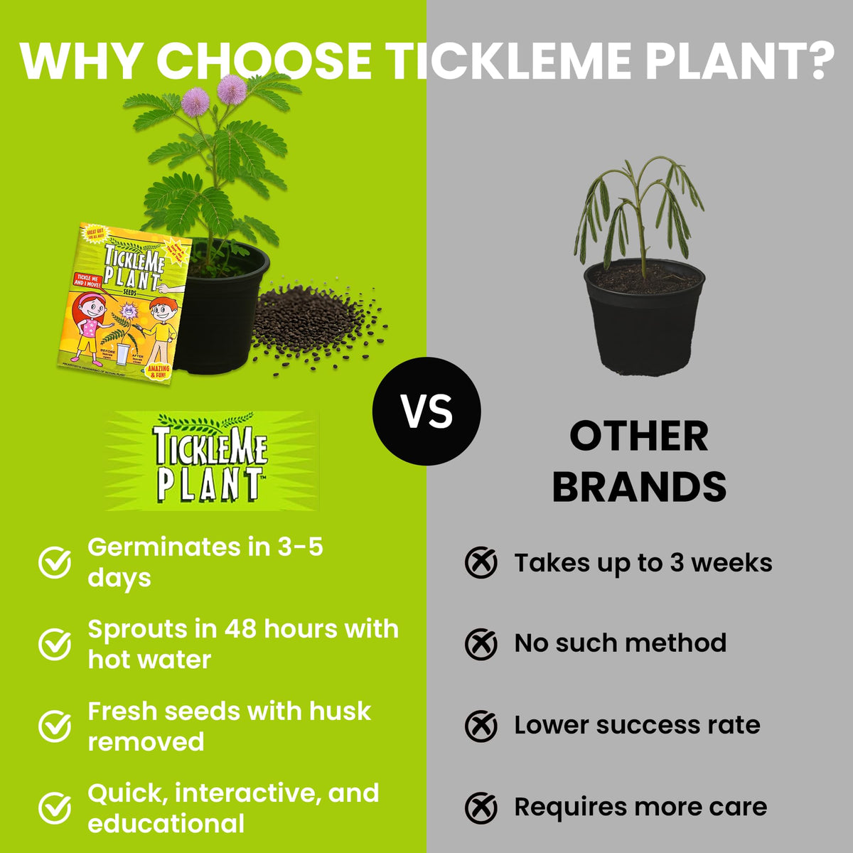 TickleMe Plant during tickle interaction for kids science activity.