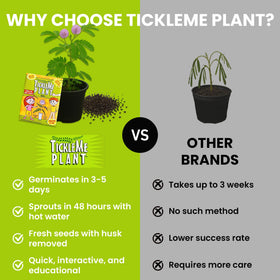 TickleMe Plant during tickle interaction for kids science activity.