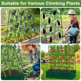 Tidponra end-spiked legs anchor the frame into soil