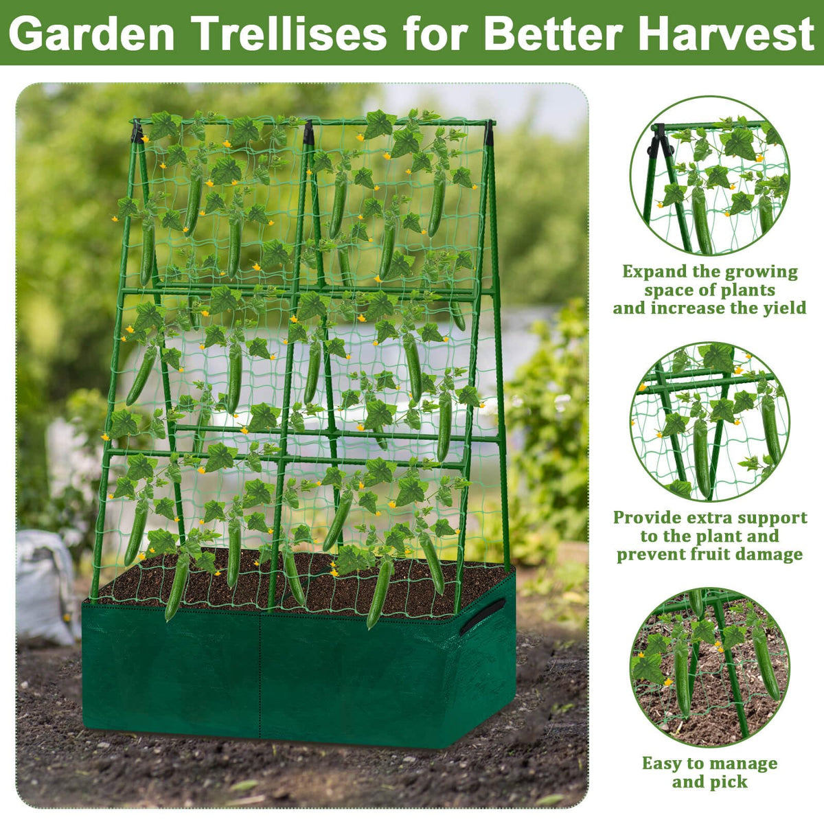 Tidponra garden wire roll offers versatile tying for sturdy growth.