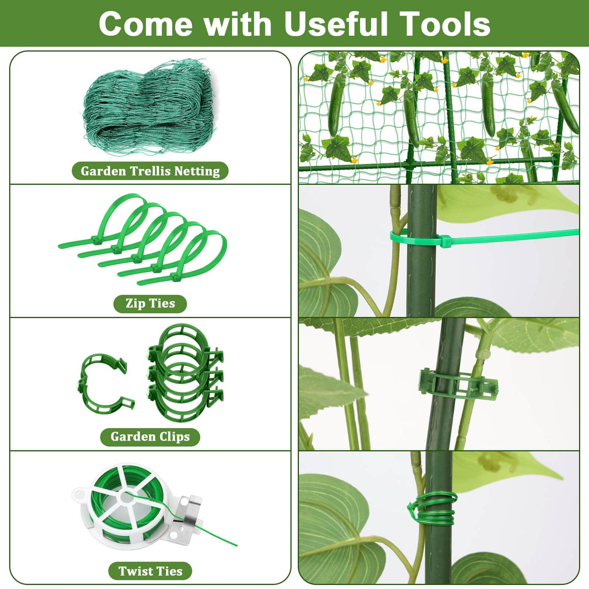 Tidponra plant twist ties help train vines along the frame.
