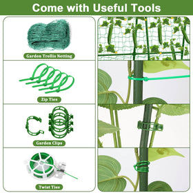 Tidponra plant twist ties help train vines along the frame.