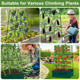 Tidponra trellis kit with accessories simplifies setup and garden organization.