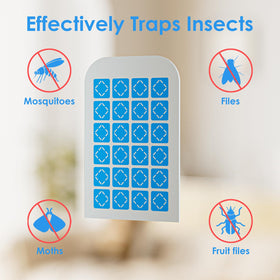 TIENBE glue card insert shows strong adhesive trapping fruit flies efficiently.