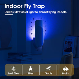 TIENBE silent glue trap captures pests odor-free