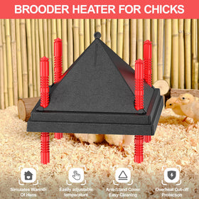 Tiflev brooder plate energy-efficient warmth focuses heat where needed.