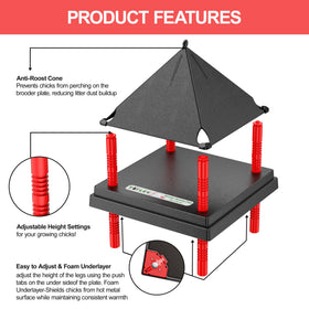 Tiflev 10x10 inch brooder surface shown for 15-20 chicks capacity and flexibility.