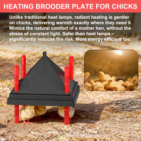 Tiflev anti-roost cone helps keep the surface clean and chicks from perching.