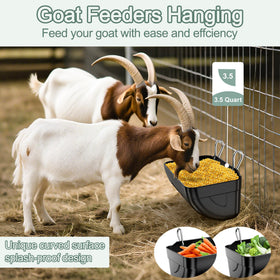 Tiflev chicken-waterer-trough offers steady water access for a healthy flock.