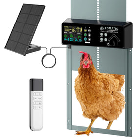 Tiflev solar-panel power setup powering the coop door for continuous operation.