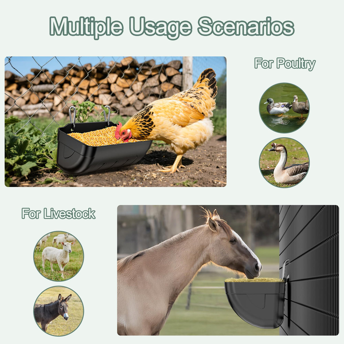 Tiflev-versatile-use-for-backyard-to-farms suits poultry keepers well.