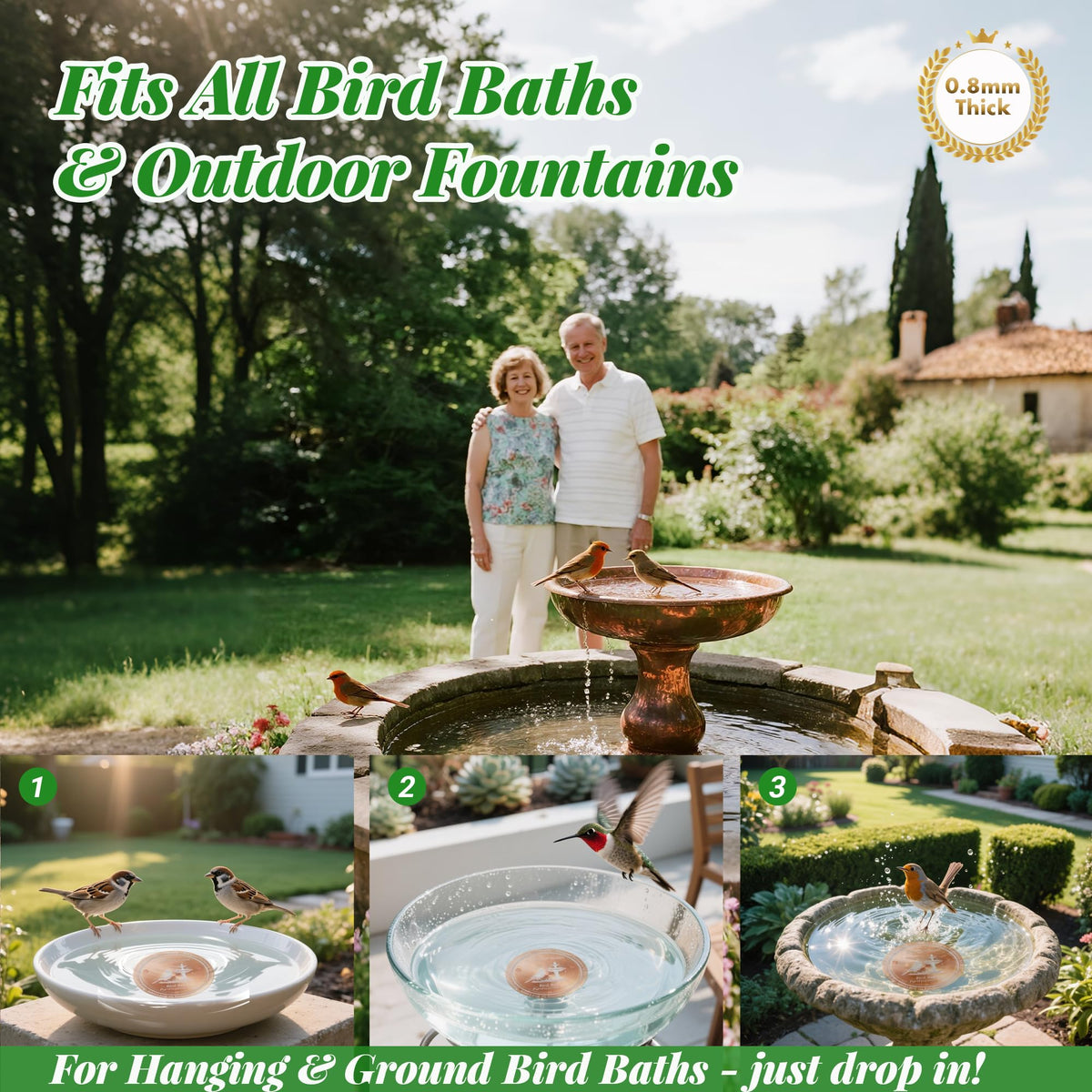 Tiftoxify pure copper disk promotes clearer water with low maintenance.