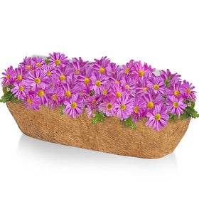 TigeJoy 36-inch trough coco liner inside a hanging basket supports sturdy roots