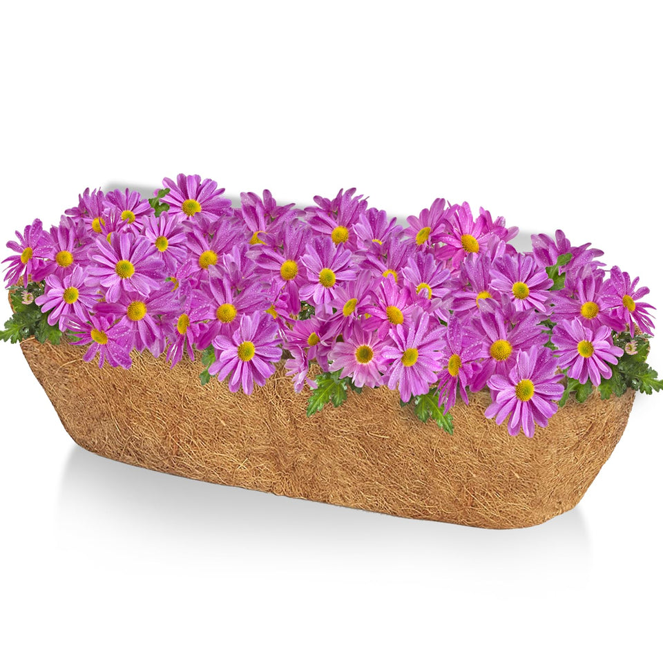 TigeJoy 36-inch trough coco liner inside a hanging basket supports sturdy roots