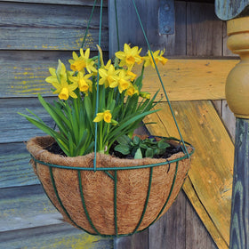 TigeJoy eco-friendly liner biodegrades into soil, enriching garden texture.