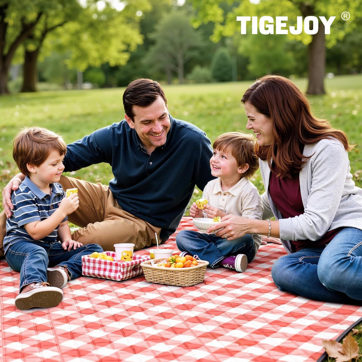 TigeJoy blanket spread on a sunny beach scene