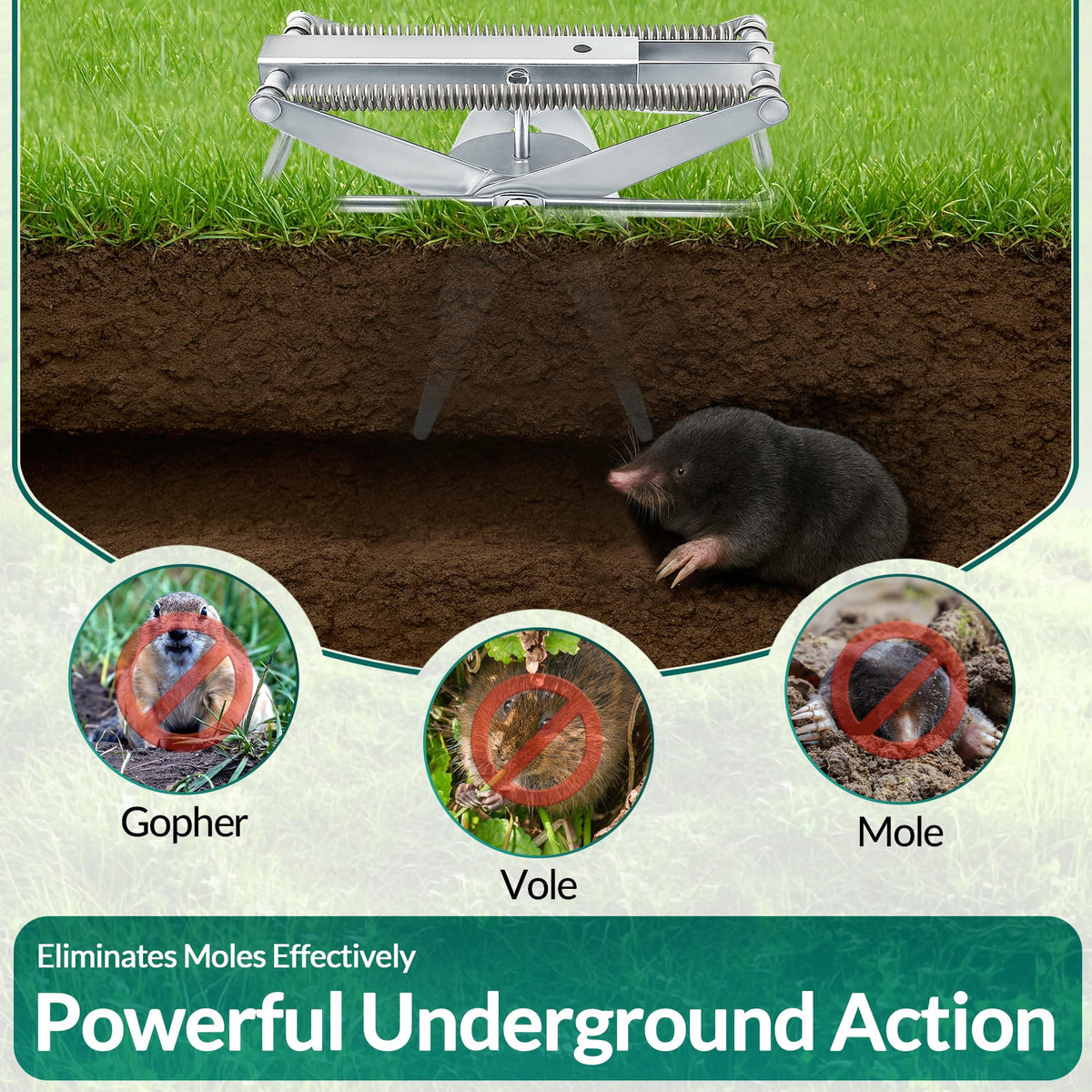 TIGERSWAG mole traps with flag markers for easy location.