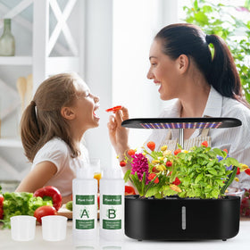 Vegetables thriving in an indoor garden with Tigvio A&B