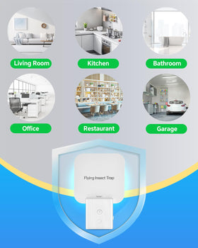 Tihilgam trap helps control flies, gnats, and moths in kitchens