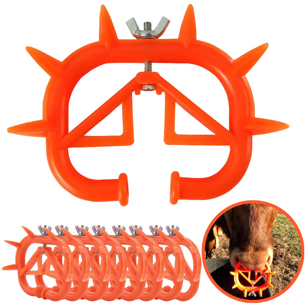 TIHOOD cow nose ring set for calves reduces sucking during weaning.
