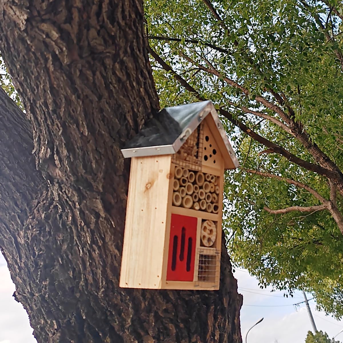 TIHOOD garden pollinators attract wildlife while enhancing landscape beauty.