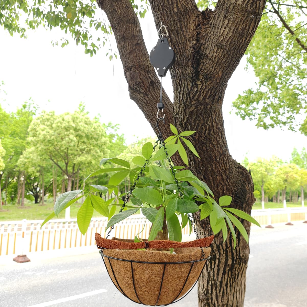 TIHOOD multi-use hanging system for indoor and outdoor vertical gardening.