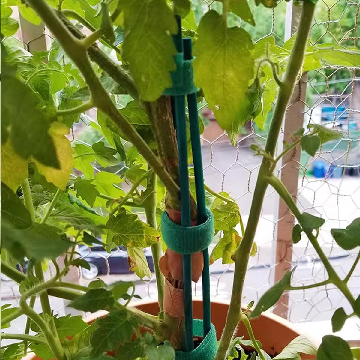 TIHOOD plant support kit ideal for DIY floral arrangements.