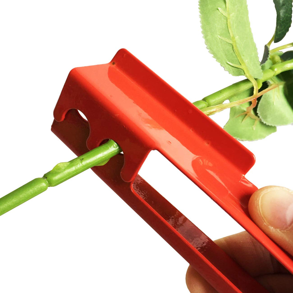 TIHOOD green rubber stripper shields hands while stripping rose leaves