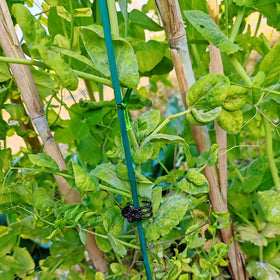 TIHOOD green bamboo sticks suitable for outdoor wedding centerpieces.