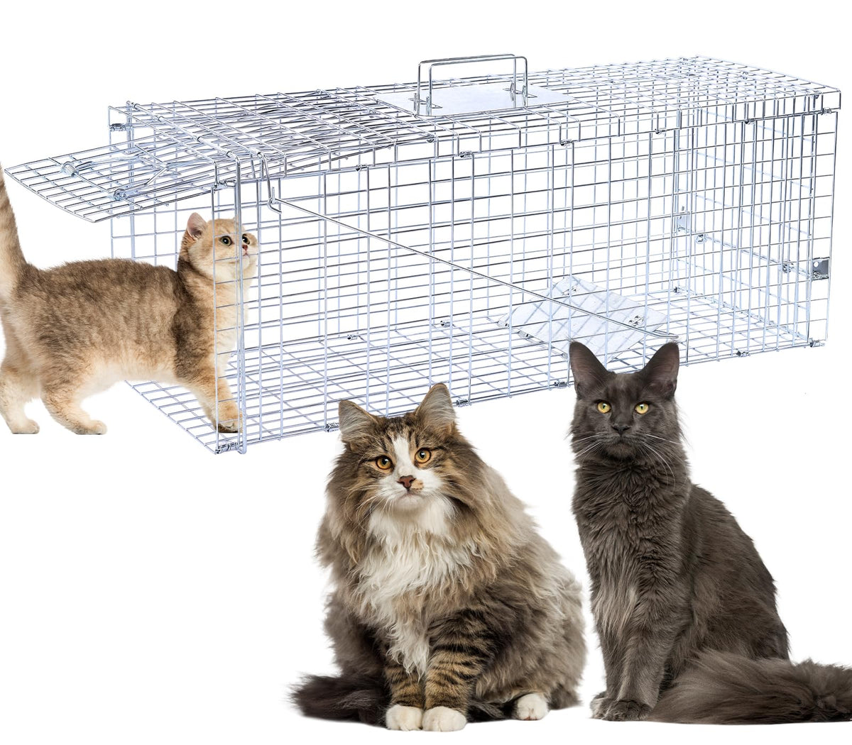 Timaze 32-inch live animal trap front view for humane capture