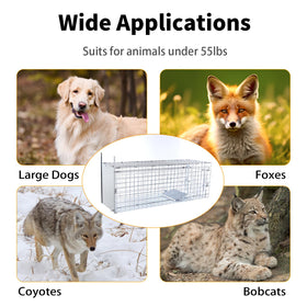Timaze 57-inch large trap supports humane wildlife relocation with minimal stress