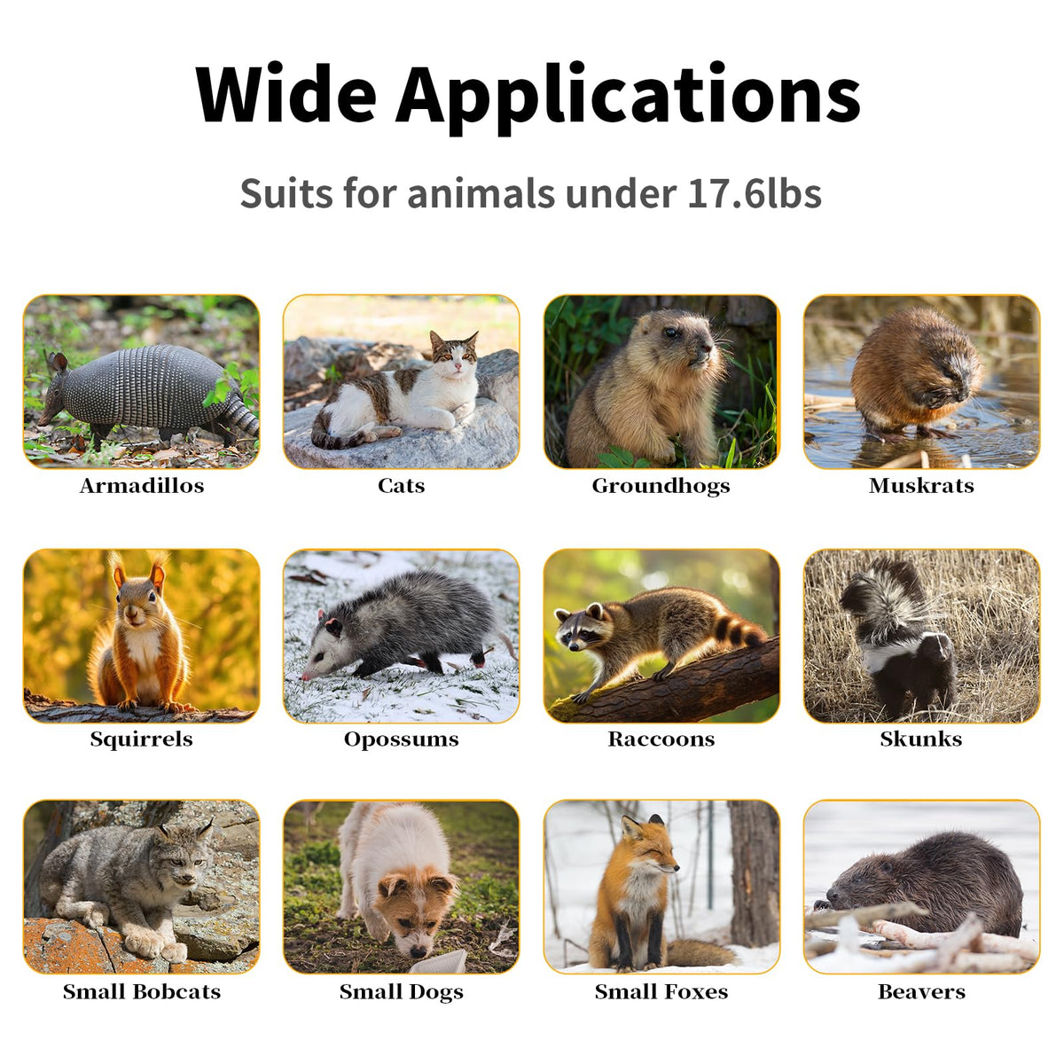 Timaze large animal trap with dimensions overview for planning