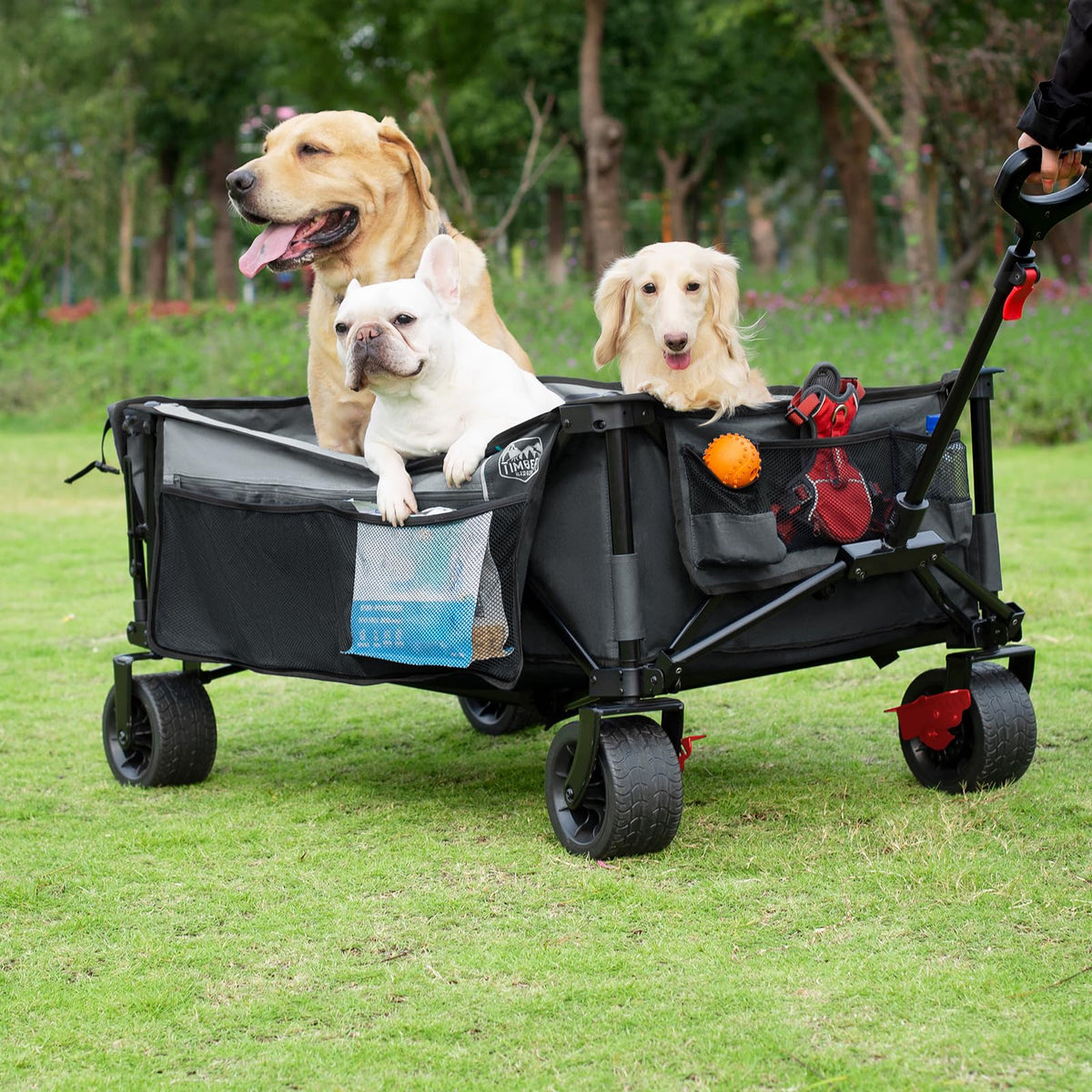 Timber Ridge 600L Beast Wagon in garden setting with tools.