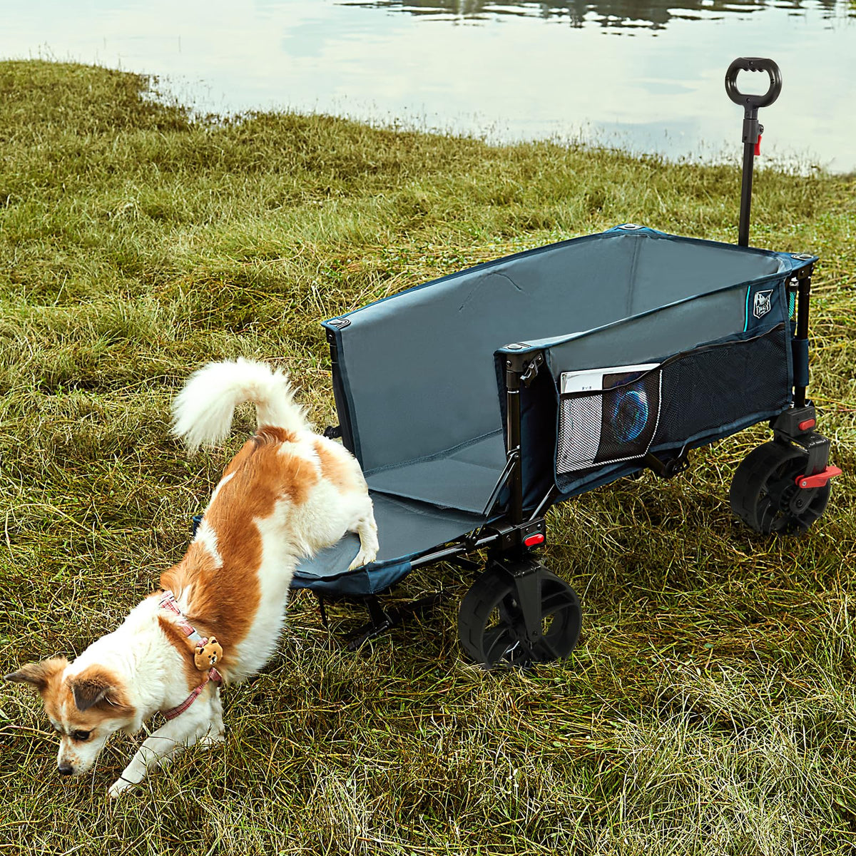 Timber Ridge pet-friendly wagon entry for dogs during trips