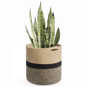 TIMEYARD sturdy jute rope plant basket with 10-inch pot fit for indoor greenery.