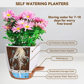 Tinecio self-watering pot delivers steady moisture to roots for lush growth
