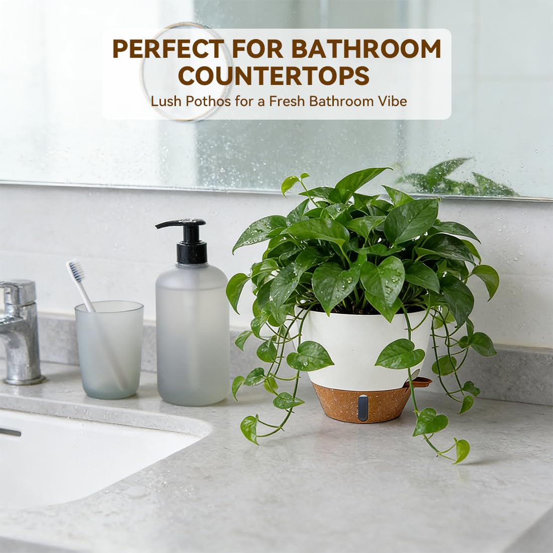 Tinecio self-watering pot removable tray protects surfaces during watering