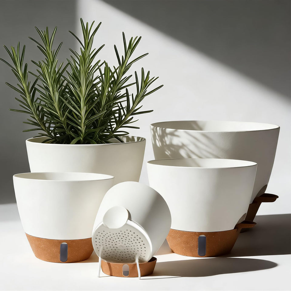 Tinecio self-watering pot water window shows moisture level for easy care