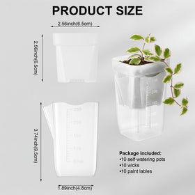 TineDew 2.5-inch pot with visible water level for precise irrigation planning.