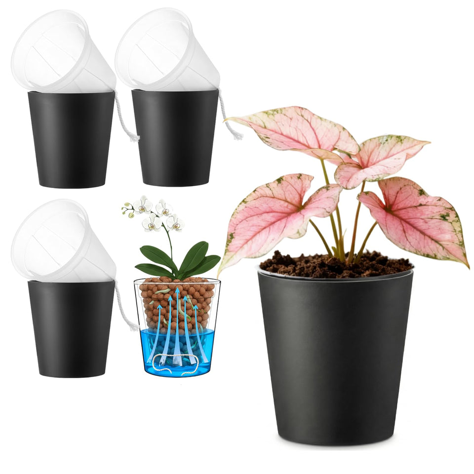 TineDew 3-pack cachepots with clear inner pot showing root moisture for easy monitoring