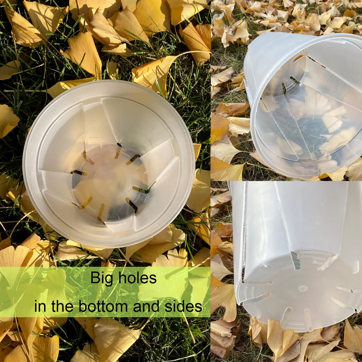 TineDew clear nursery pot 6 inch with saucer supports compact potting and surface protection.