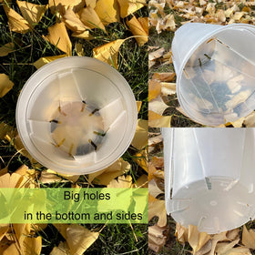 TineDew clear nursery pot 6 inch with saucer supports compact potting and surface protection.