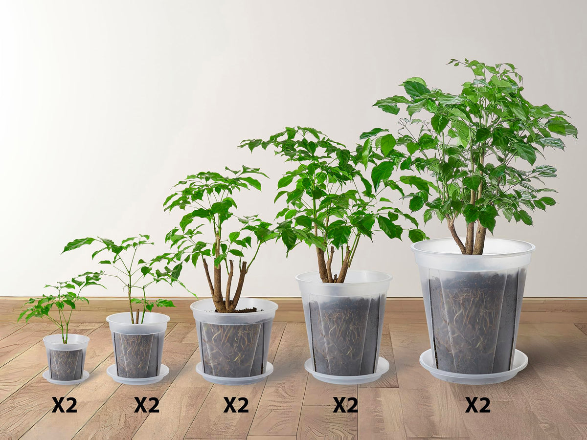 TineDew clear nursery pot 8.3 inch with saucer for easy moisture monitoring.