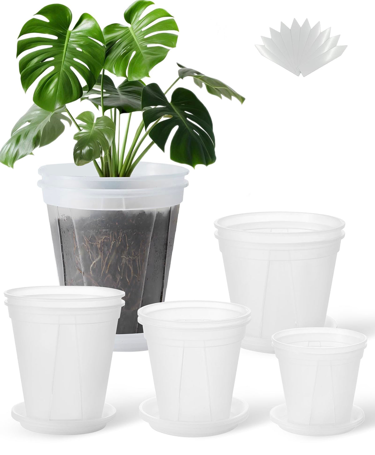 TineDew clear nursery pot 9.5 inch with saucer for healthy root growth and drainage.