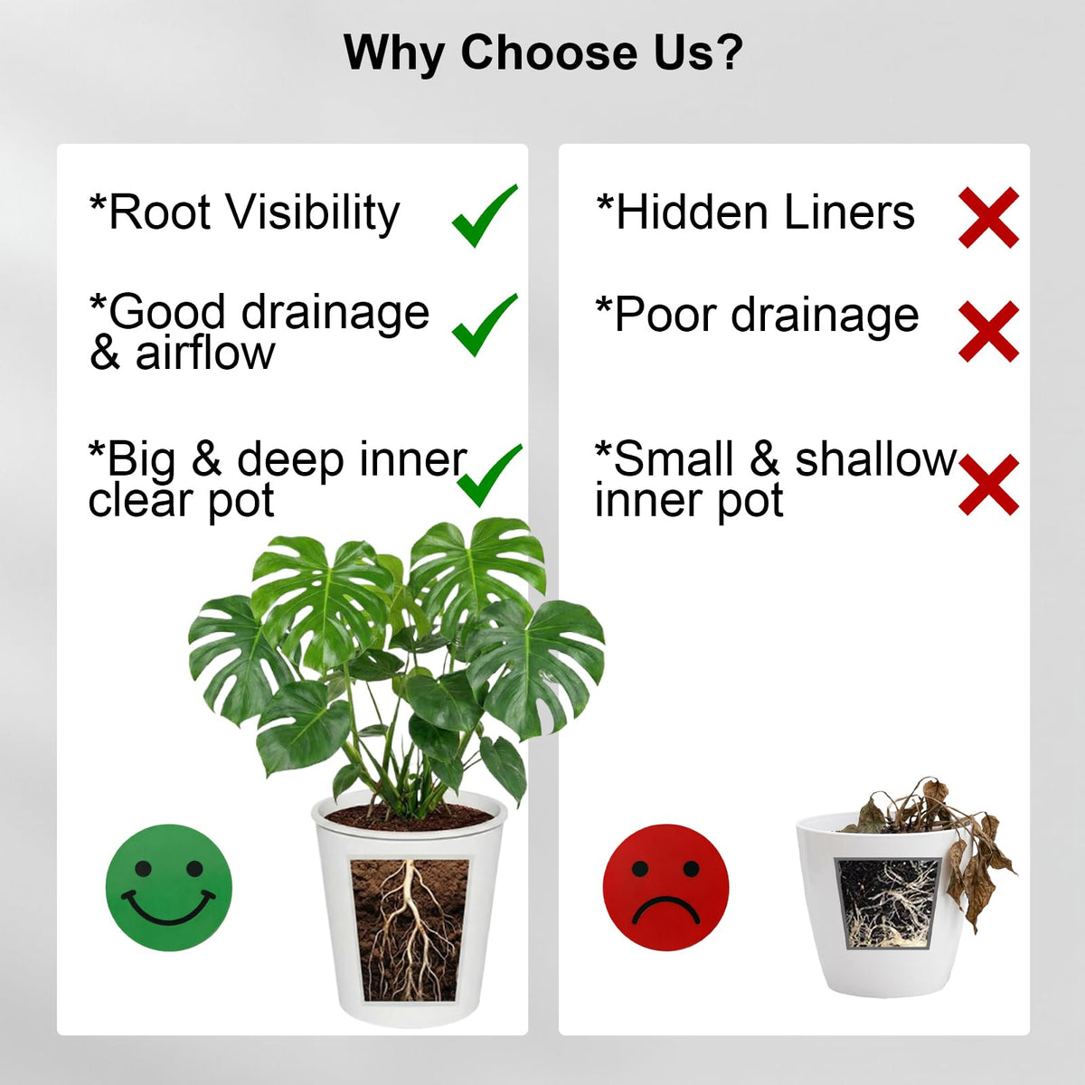 Vertical and bottom drainage holes promote root aeration and healthy growth