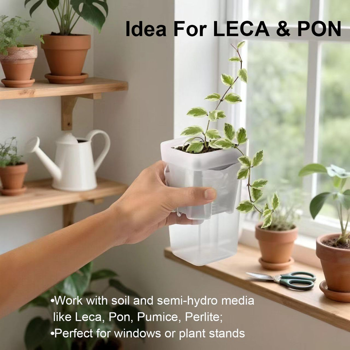 TineDew mini pot suits LECA and PON setups for semi-hydro plants.